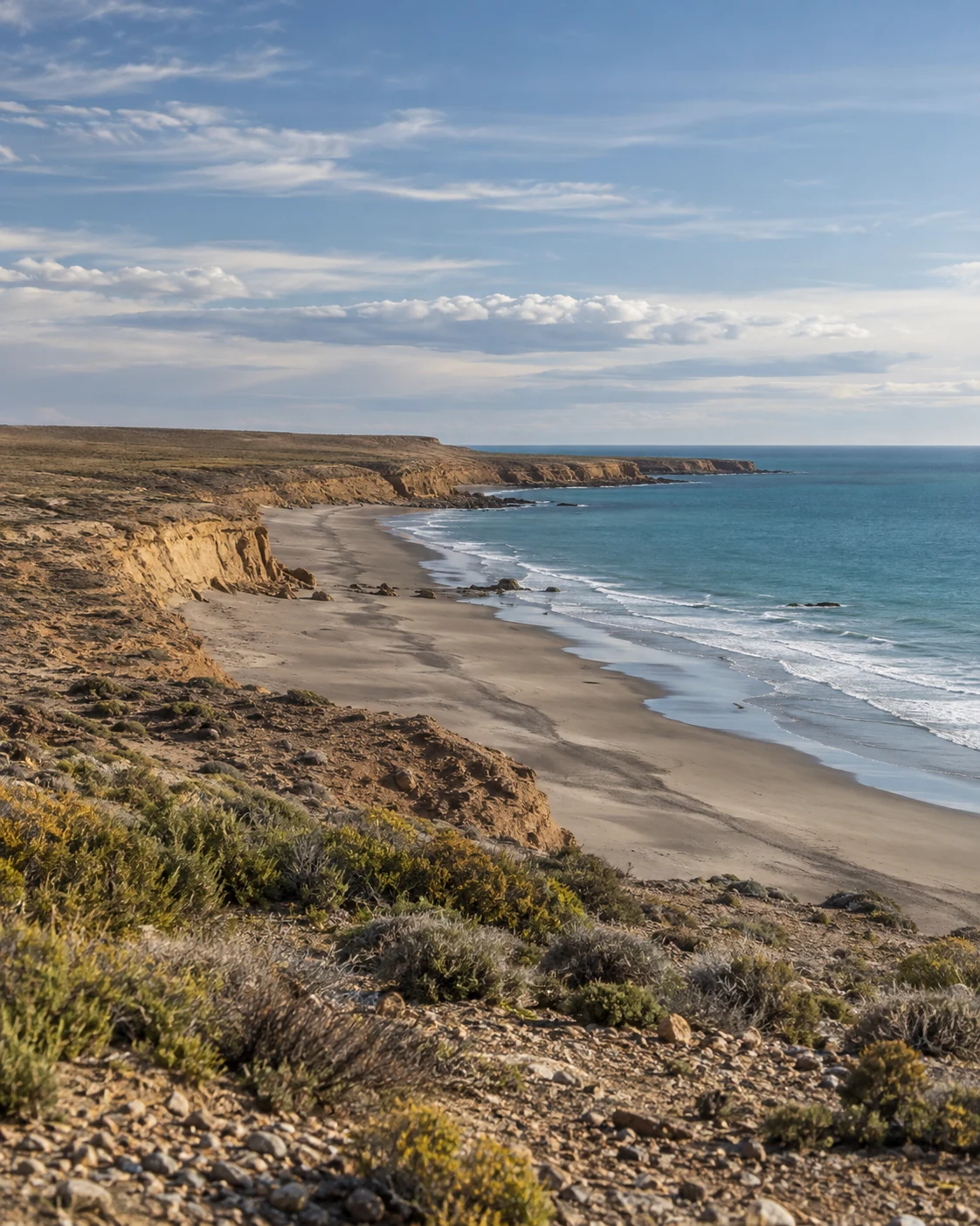 Costa patagónica con playa, acantilados y meseta árida